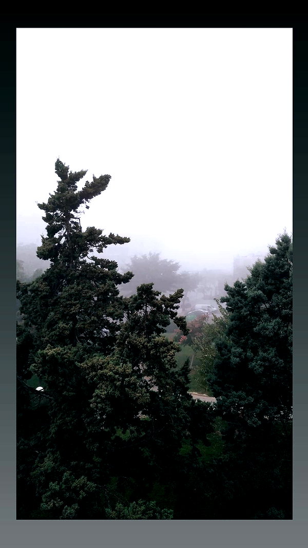 nikolpeleg instagram image archive image