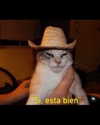 leanbeefpatty Altpins Profile Picture