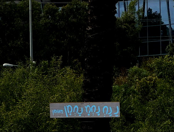 _lironatias instagram image archive image