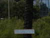 _lironatias Altpins Profile Picture