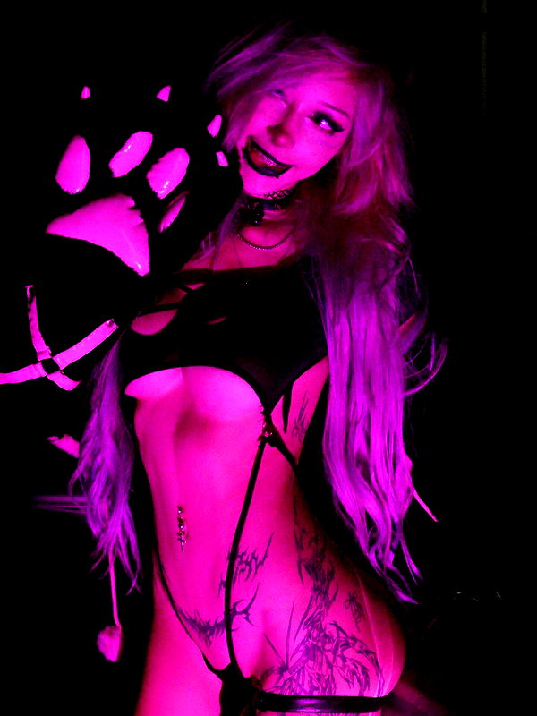 pixelpuppi instagram image archive image