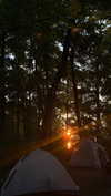 nyiityam Altpins Profile Picture