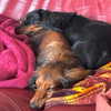 libby_reut Altpins Profile Picture