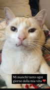 rott3nbambi Altpins Profile Picture