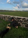 fair_mua Altpins Profile Picture