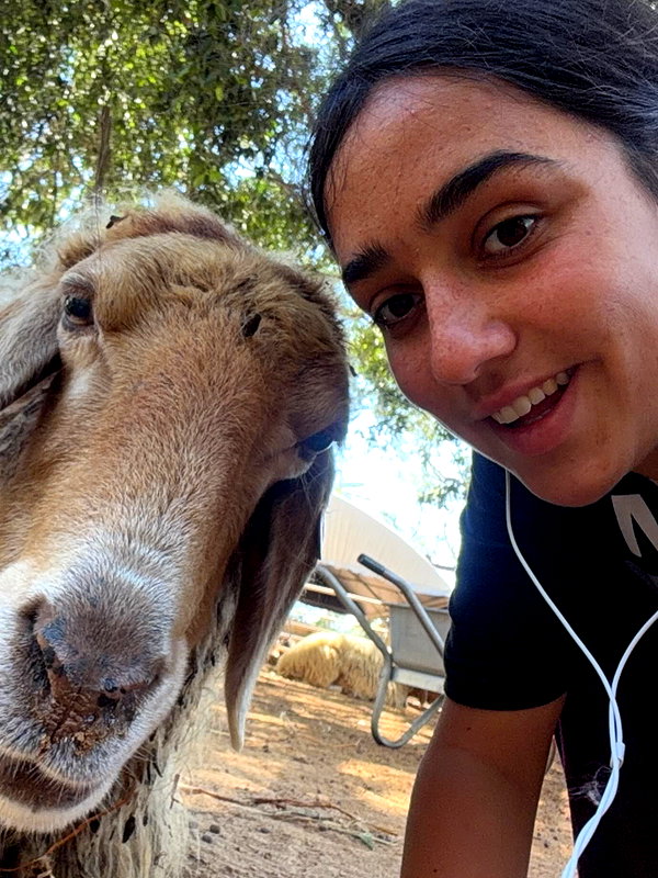 yuval_raz instagram image archive image