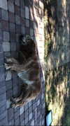 analuvillarreal Altpins Profile Picture