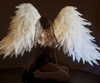 aseynat0r Altpins Profile Picture