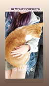 lotembar Altpins Profile Picture