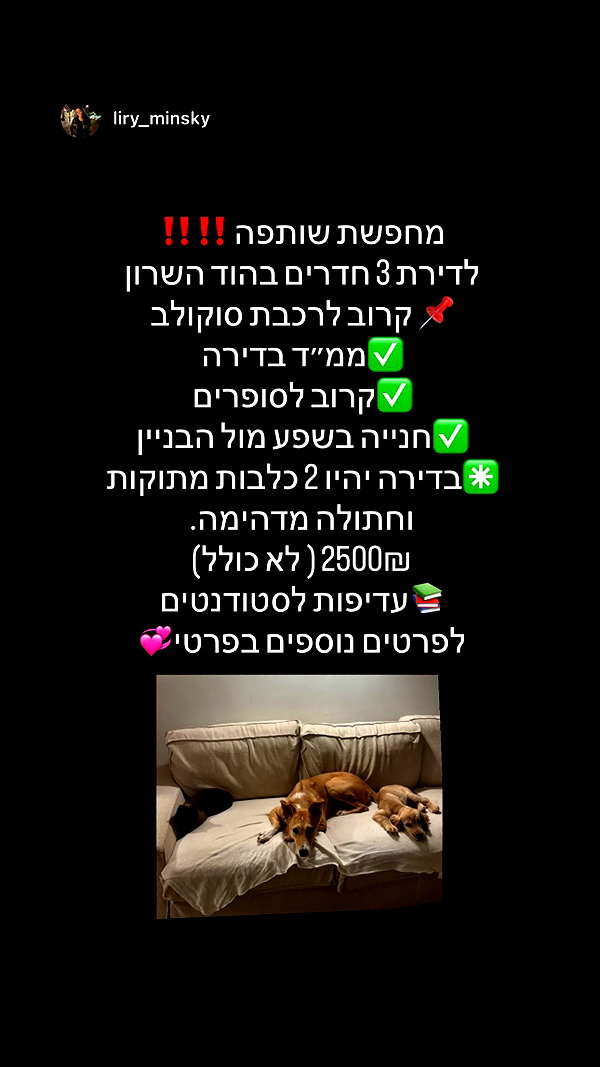 maor.d_ maor.d_ archive image