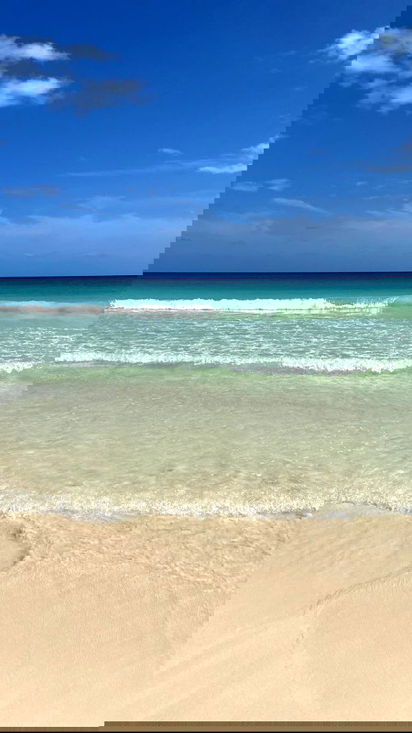 manjolamuriqi manjolamuriqi archive image