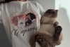 leahhalton Altpins Profile Picture
