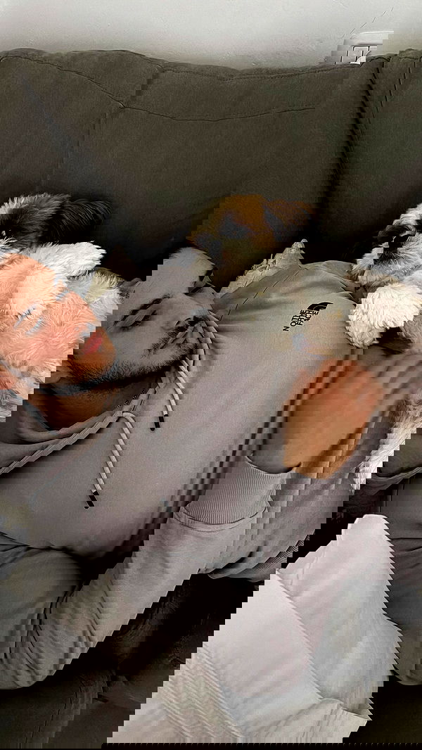 noammalka___ noammalka___ archive image