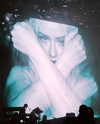 xtina Altpins Profile Picture