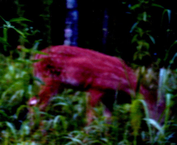 bugz4brainz instagram image archive image