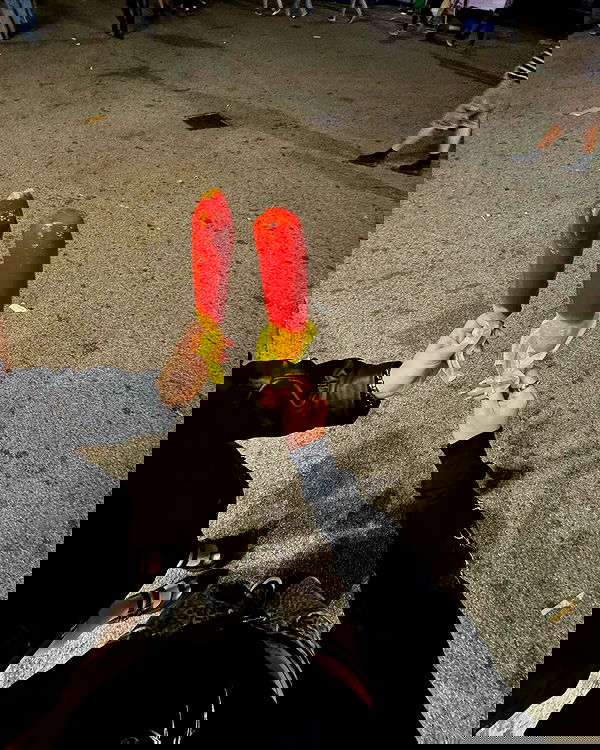 jtilb2 image ~ Altpins