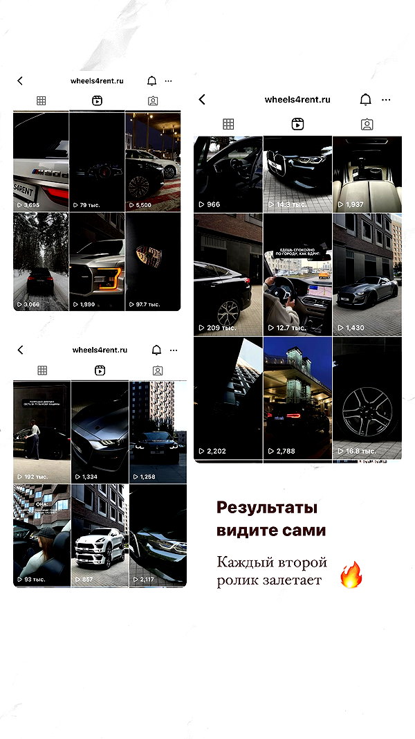 alishevs instagram image archive image