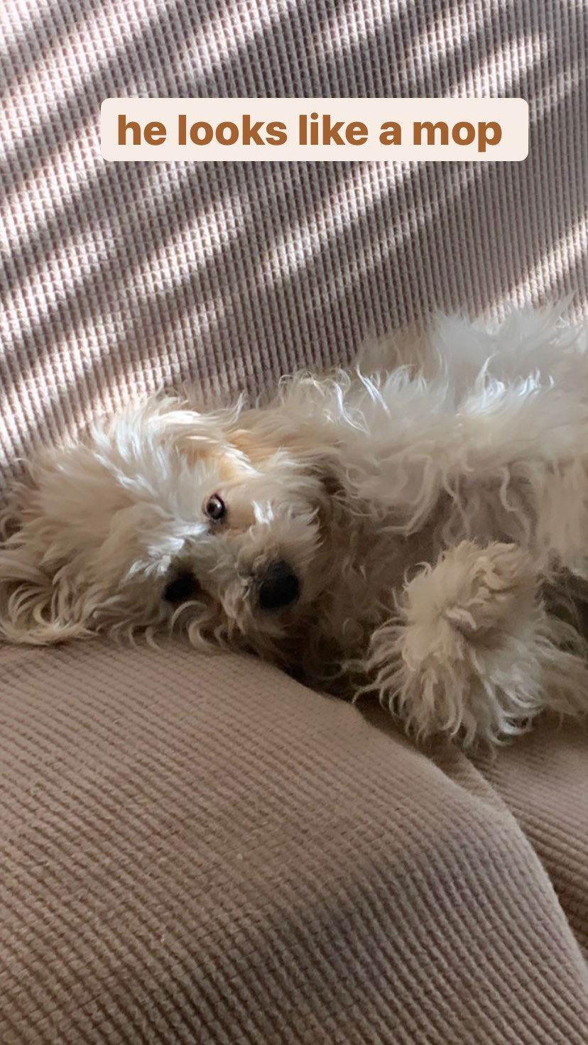 dracuina instagram image archive image