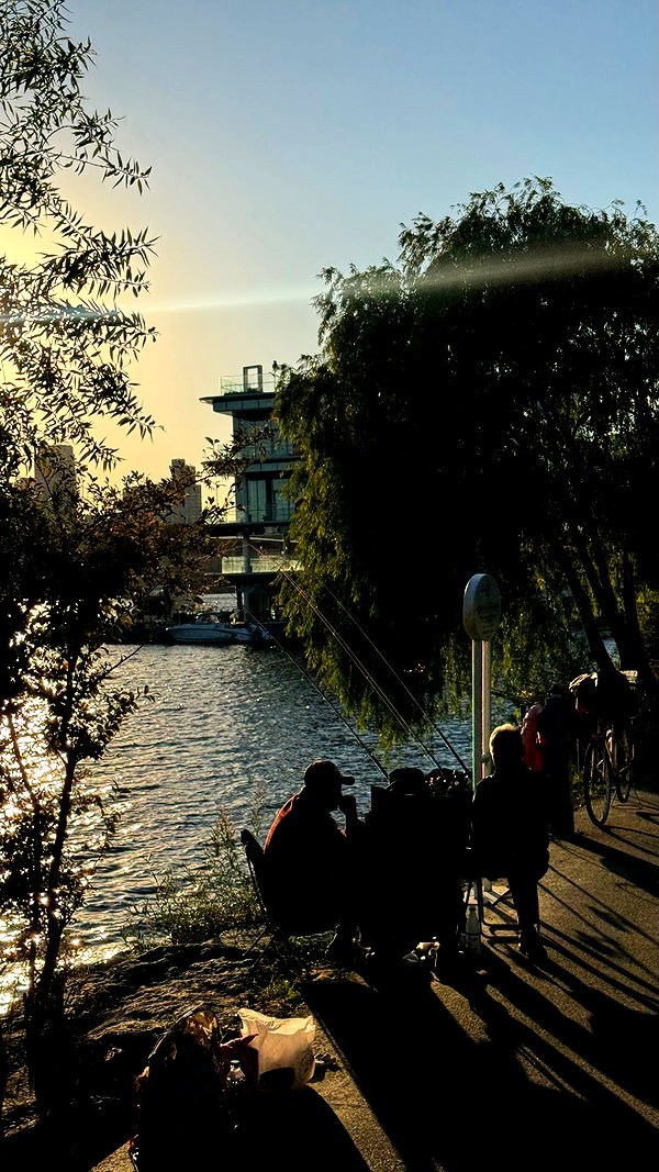 lalytoples instagram image archive image