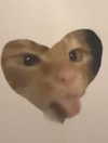 ellaexplicit_ Altpins Profile Picture