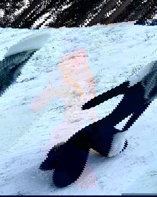 pinx_ir pinx_ir archive image