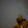 solveyyyy Altpins Profile Picture