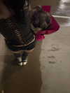 ak47kanii Altpins Profile Picture