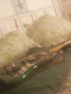bugz4brainz Altpins Profile Picture