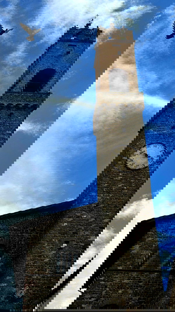 taylor.creeden taylor.creeden archive image