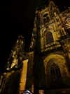 nicole.shpo Altpins Profile Picture
