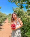 mishel_d_ Altpins Profile Picture