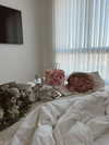roni.benshushan Altpins Profile Picture