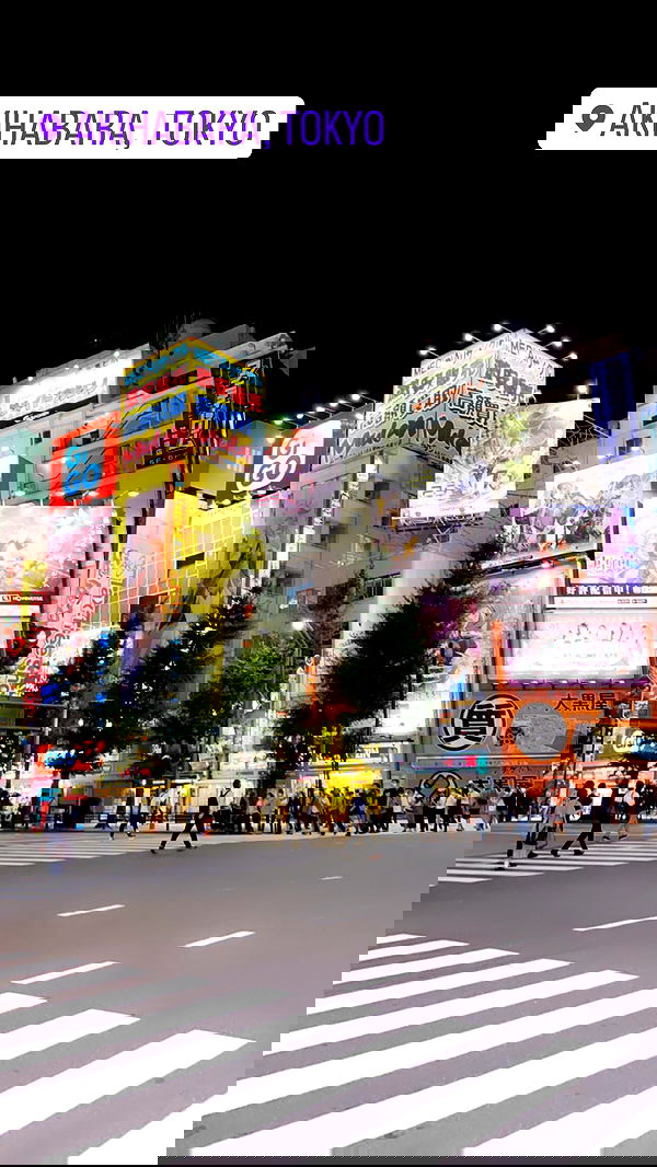 silkton image ~ Altpins