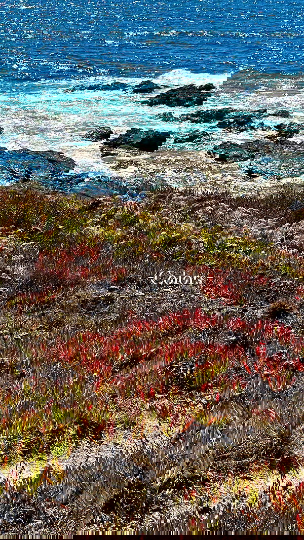 taylor.creeden taylor.creeden archive image