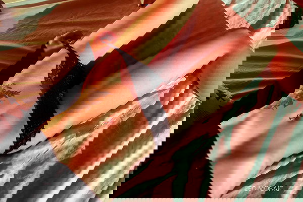 ting851204 ting851204 archive image