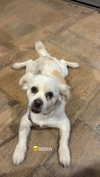 nicole.shpo Altpins Profile Picture