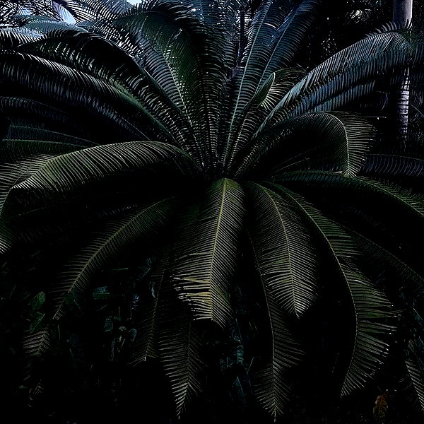 zoeliss instagram image archive image