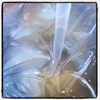 muze Altpins Profile Picture