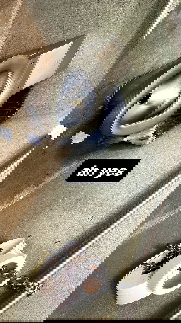 thelizzyporter thelizzyporter archive image