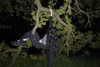 h1k21k0m0r1 Altpins Profile Picture