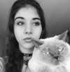 owlydiaa Altpins Profile Picture