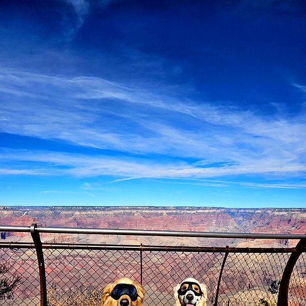 muze instagram image archive image