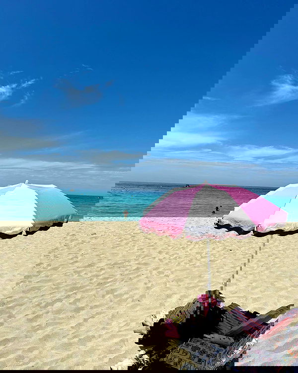 jtilb2 image ~ Altpins