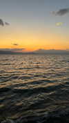 michal_cohen017 Altpins Profile Picture