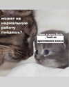 milena_milachich Altpins Profile Picture