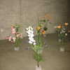 ninastodden Altpins Profile Picture
