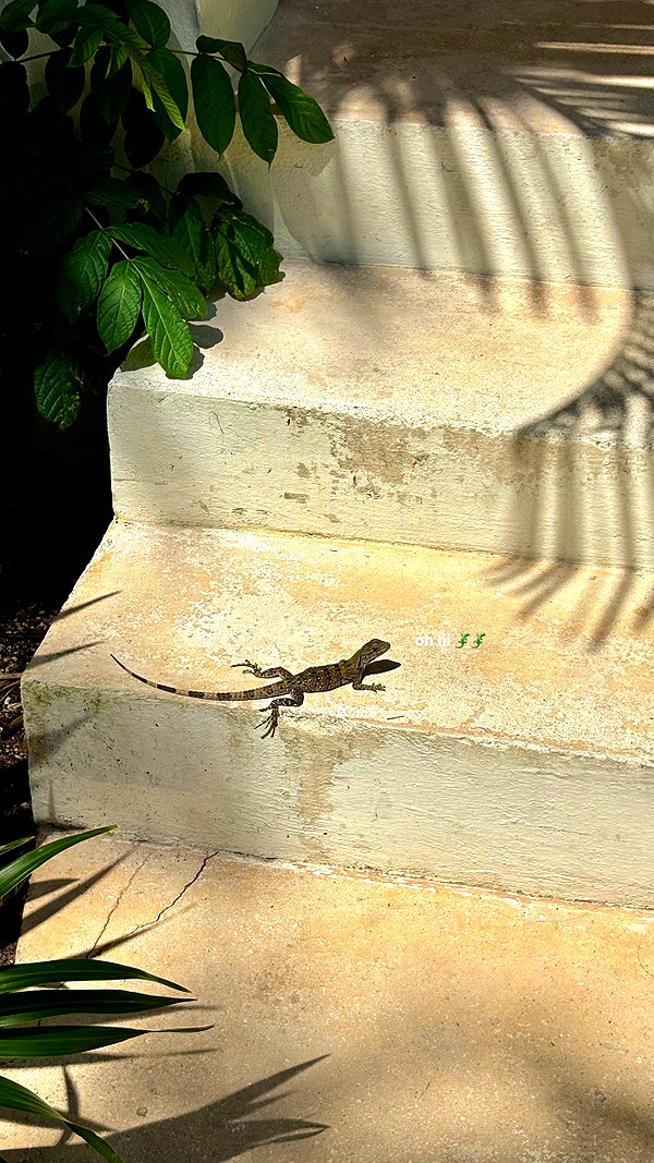 biancanataliie archive image