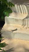 biancanataliie Altpins Profile Picture