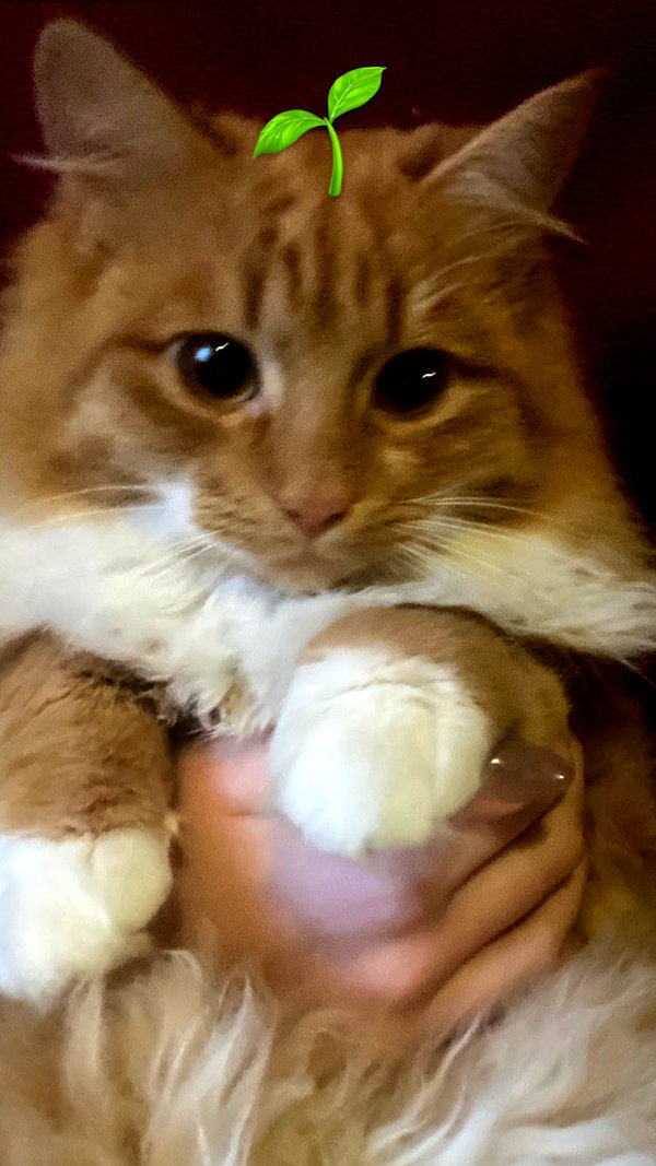 meiiisame instagram image archive image