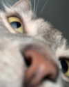 danielle.mercedie Altpins Profile Picture